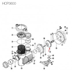 Турбина за помпа HCP3600, 3.5HP, Hayward  от  Hayward Commercial Aquatics справка 500100070033