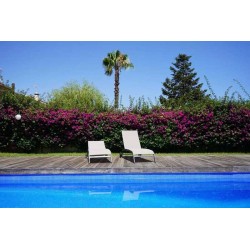 Облицовка PVC 1,5 mm Mosaic Blue Design  от Soprema Pool справка 156975/MNB