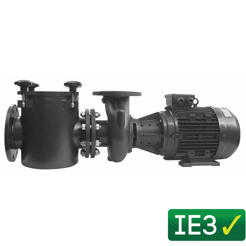 Помпа HCP 5000, 3 hp, 400V  от  Hayward Commercial Aquatics справка HCP5033E24